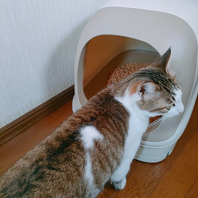 mori_6_12さんの実例写真