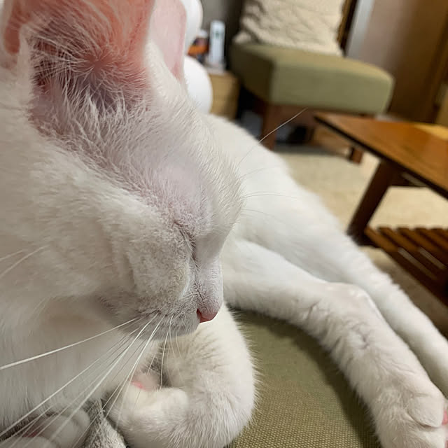 keiさんの部屋