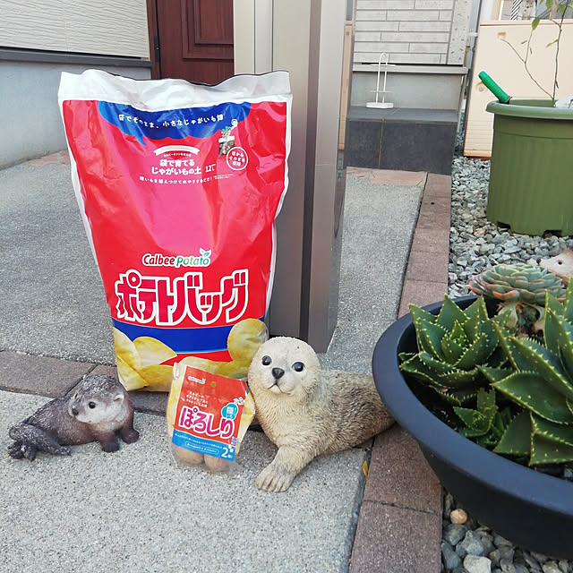 G.Mさんの実例写真