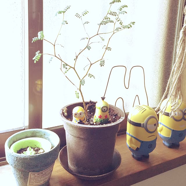 mamiさんの実例写真