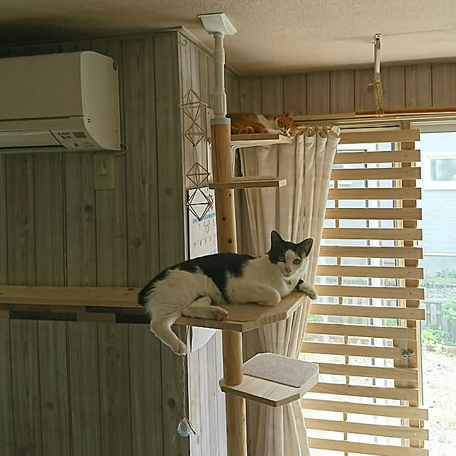 SHIHOさんの実例写真