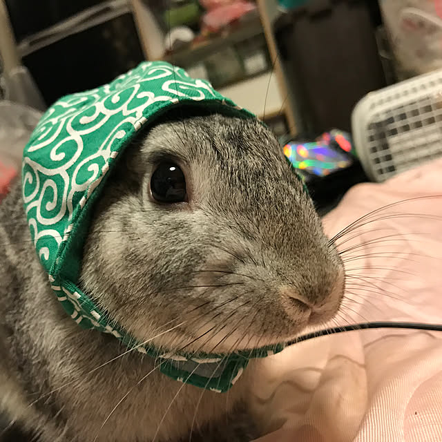 0shucream45xxさんの実例写真