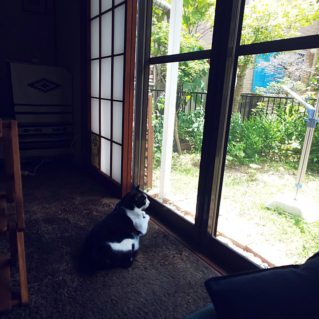 oseroさんの実例写真