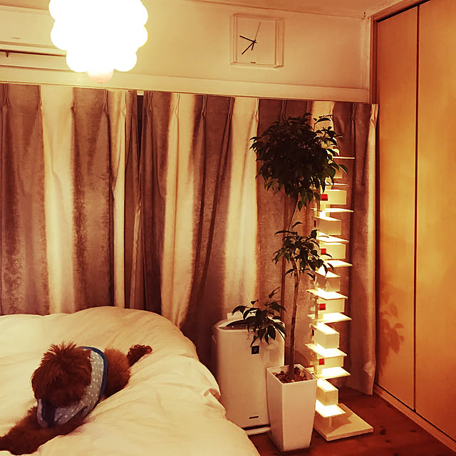 yokoyoko425さんの実例写真