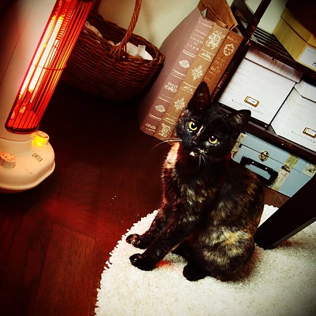 Ryoさんの実例写真