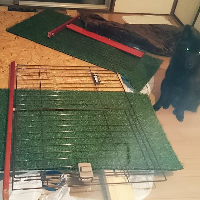 breaking19さんの実例写真