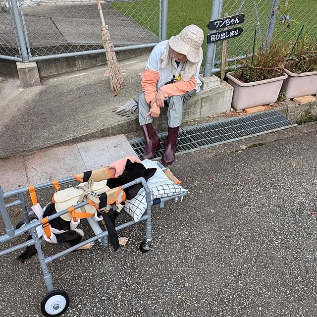 ponhanaさんの実例写真