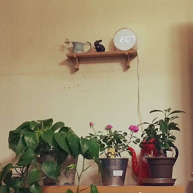 nora_koさんの実例写真