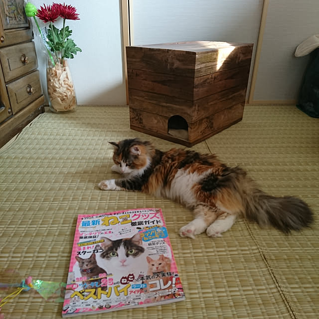 mo.a.i.さんの実例写真