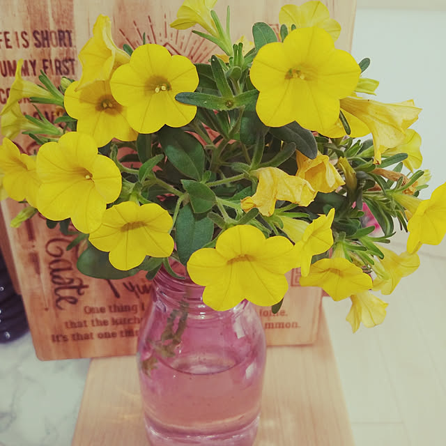 seleneさんの実例写真