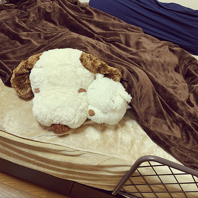 qnjqyさんの実例写真