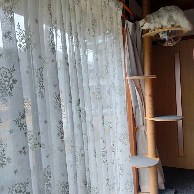 makaronさんの部屋