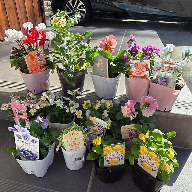 natyenaoさんの実例写真