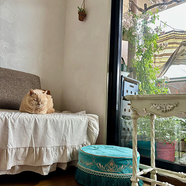 naokoさんの部屋