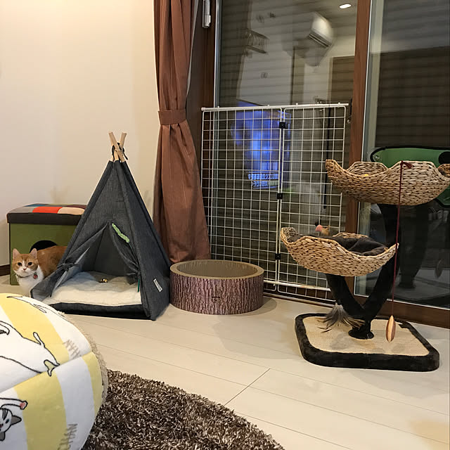 KotarouKunさんの実例写真