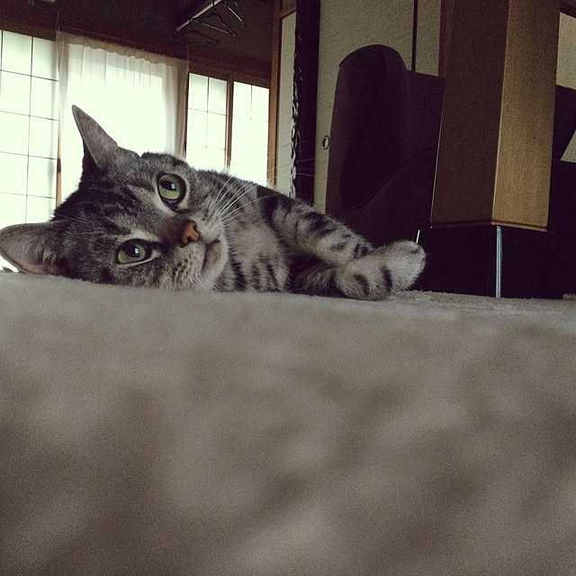 richanさんの実例写真