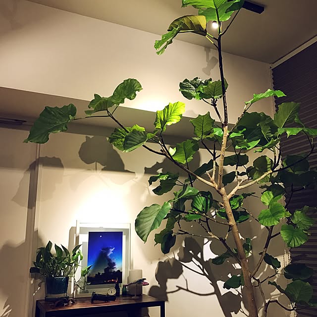 postさんの実例写真