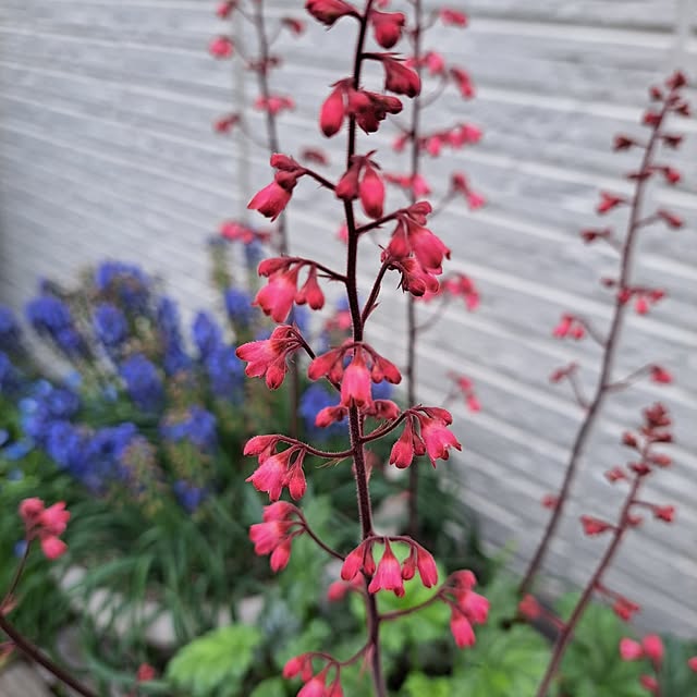 valleさんの部屋