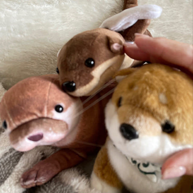 aureaさんの実例写真