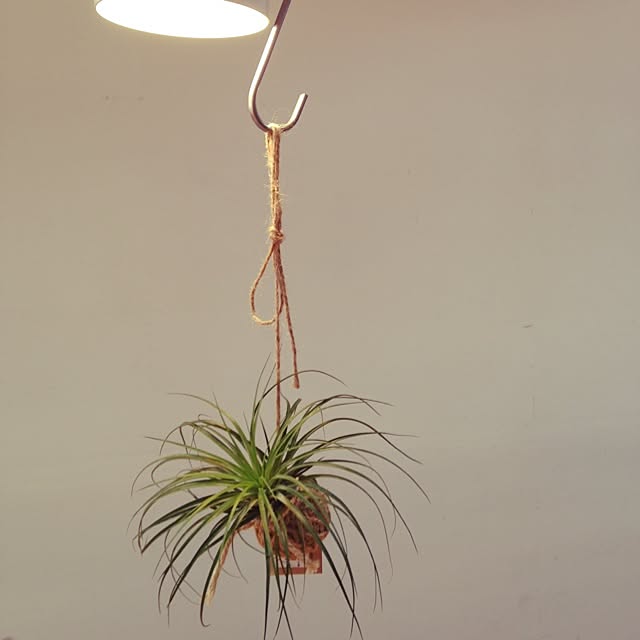 earthgreenさんの実例写真
