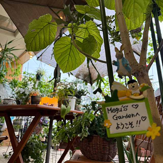 Aqettyさんの実例写真