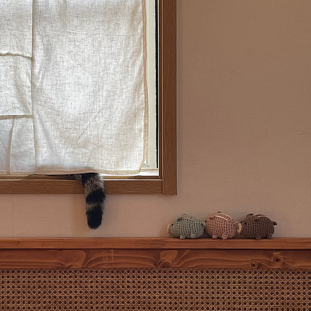 nobikoさんの部屋