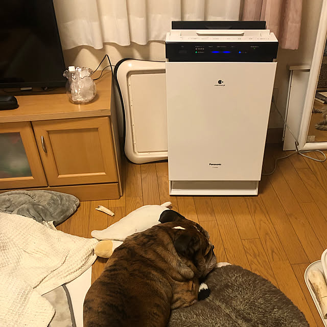 chi_gogaさんの実例写真