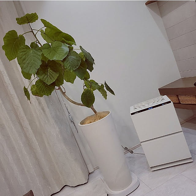 maruさんの実例写真