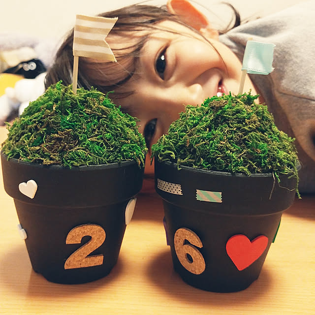 Eriさんの実例写真