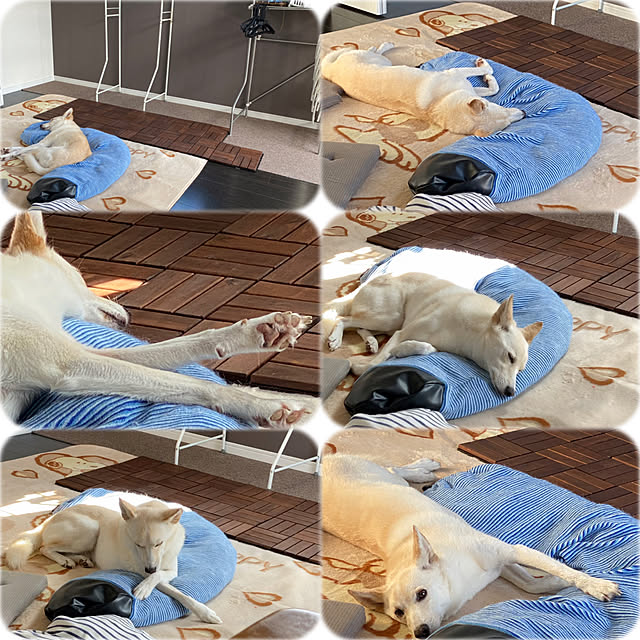 tanboさんの実例写真