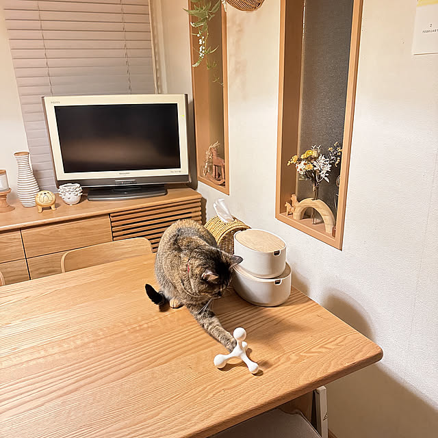 chinaさんの部屋