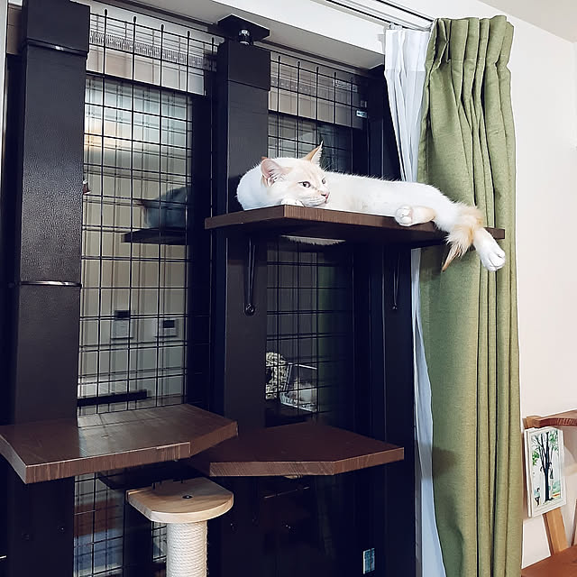 maru_hiro709さんの実例写真