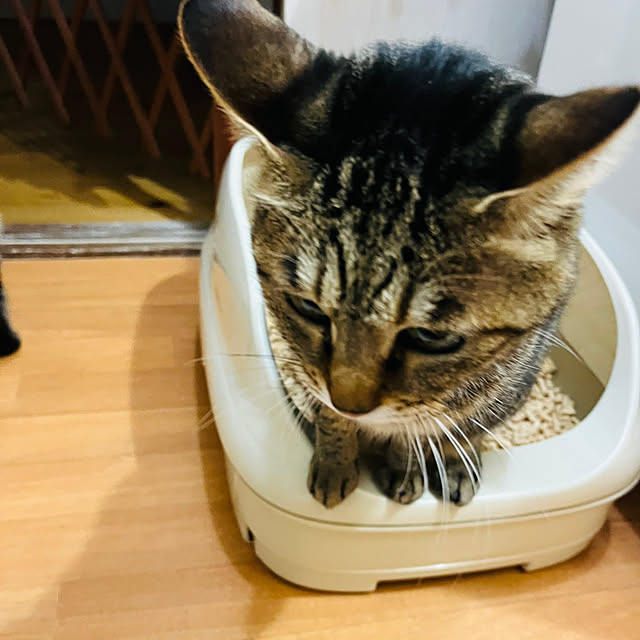 heidiさんの実例写真
