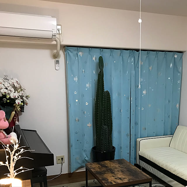 naoさんの実例写真