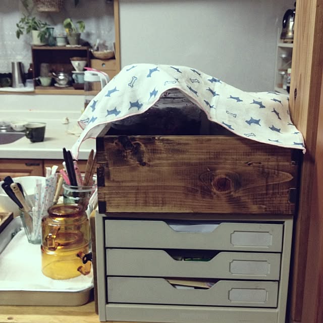 pandyさんの実例写真