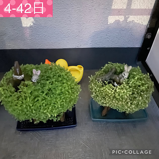 aureaさんの実例写真