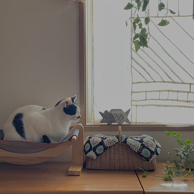 nobikoさんの部屋