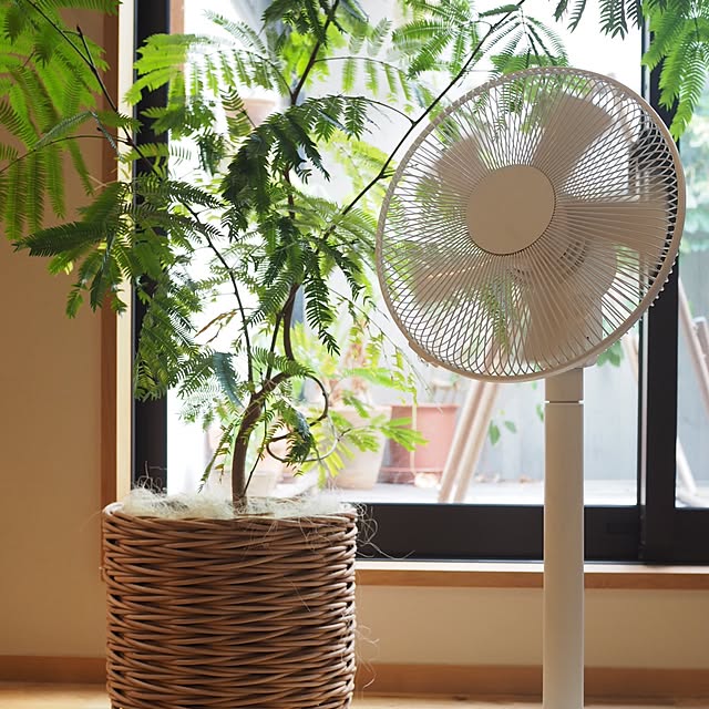 entaromaruさんの実例写真