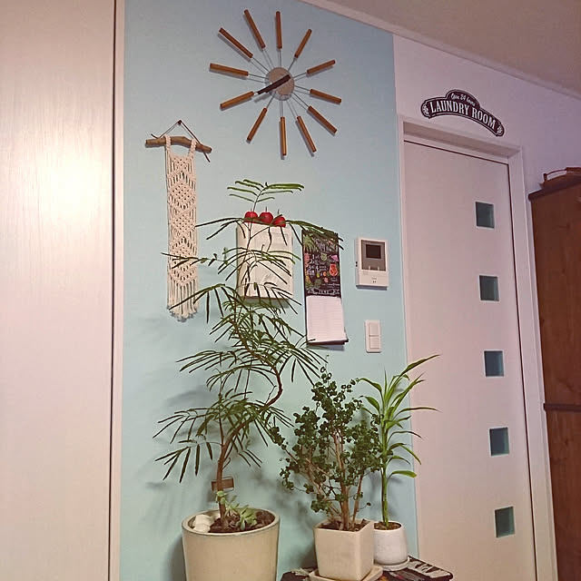 アクセントクロス/花のある暮らし/グリーンのある暮らし/花のある生活/観葉植物...などのインテリア実例 - 2020-06-19 19:45:16