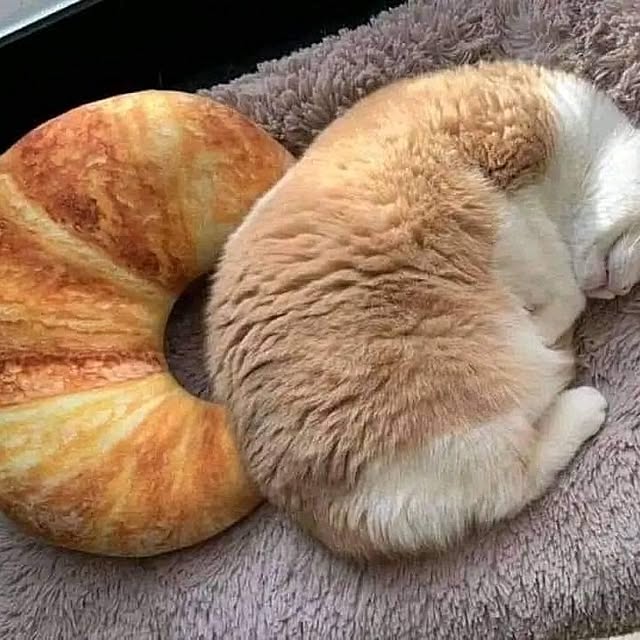 Tackunさんの実例写真