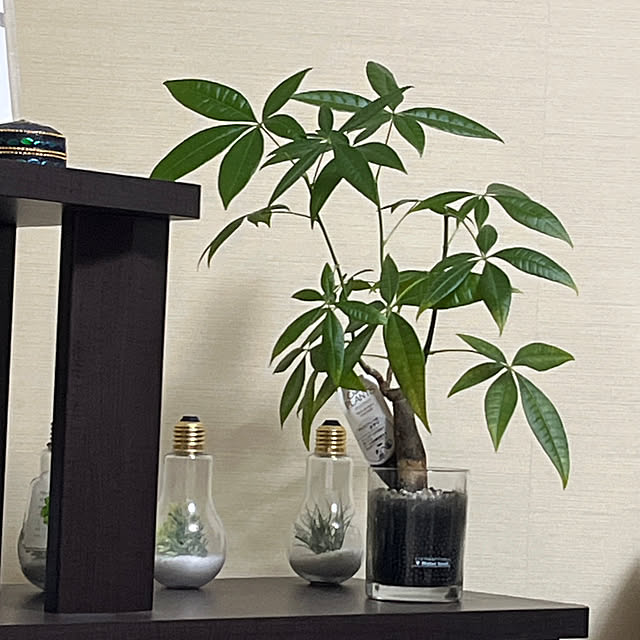 asariさんの実例写真