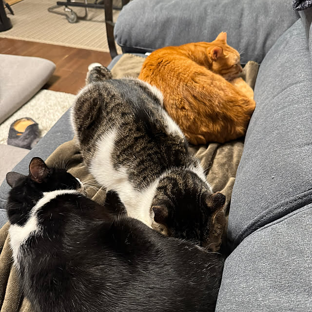 okyosan101さんの部屋