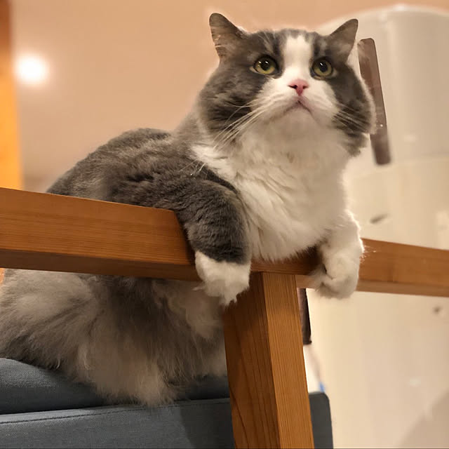 TKさんの実例写真