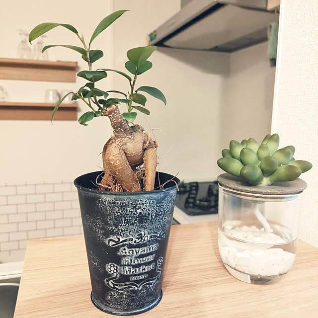 pinponmamさんの実例写真