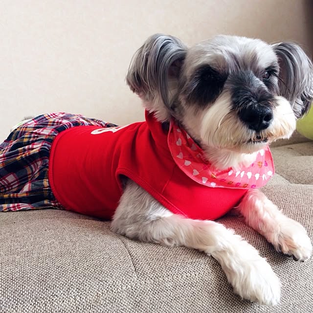 HappyRoseさんの実例写真
