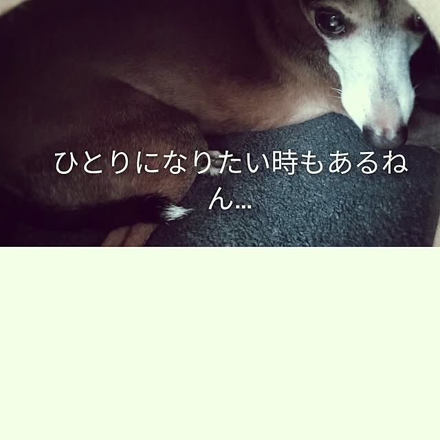 moruさんの部屋