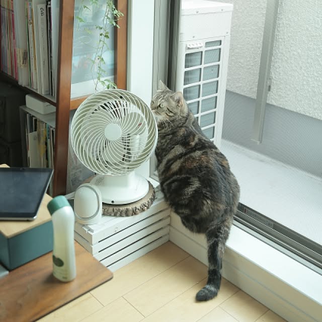 haruhouseさんの実例写真