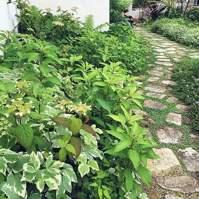 ulalaさんの実例写真