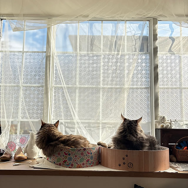 mayumiさんの実例写真