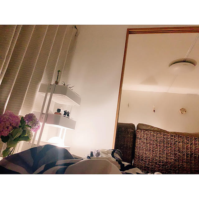 chaluさんの実例写真